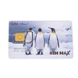 sim-max-card-2_0.JPG