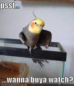 scaledfunny-pictures-sleazy-bird-asks-if-you-would-like-to-buy-a-watch