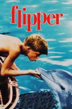 flipper_box_250