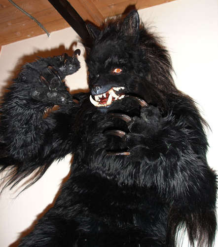 homemade werewolf costumes