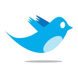twitter_bird_logo_by_ipotion