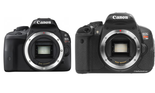 Canon's New, Much Smaller Entry-Level DSLR Gets Pictured And