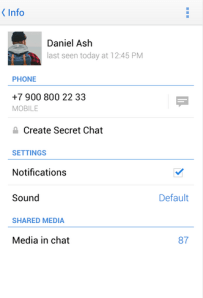 Telegram Screen 2