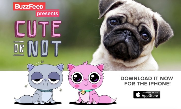 If You Think Tinder Needs More Cute Pets, BuzzFeed Has The App For You |  TechCrunch
