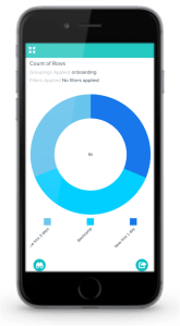 Salesforce HR app, analytics view