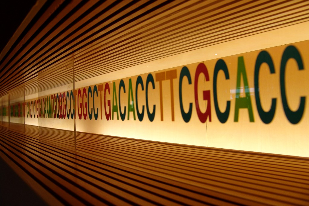 Synthetic DNA startup Catalog partners with Seagate for its DNA-based data storage platform