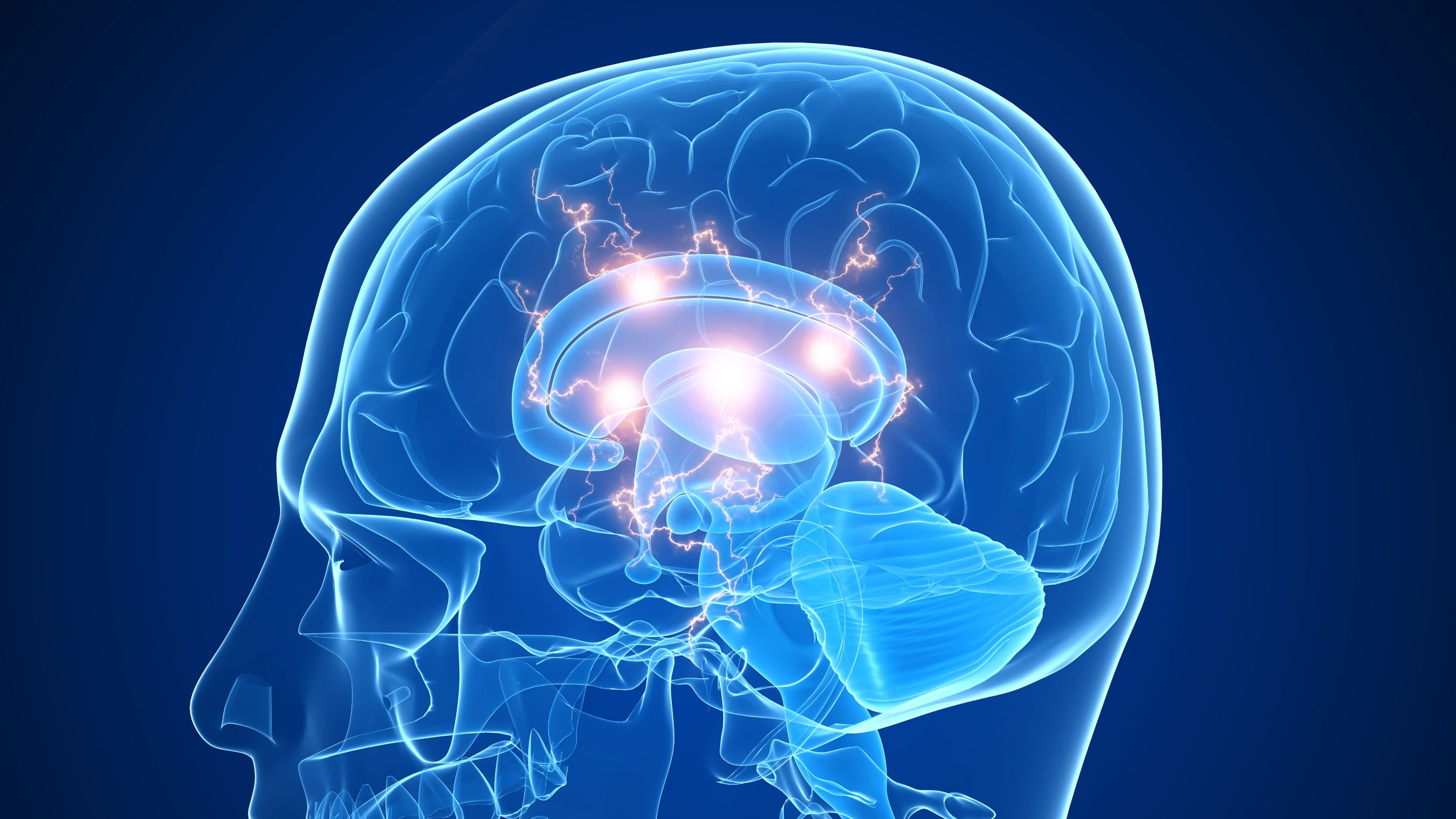 Brain 167. Изображение мозга человека.