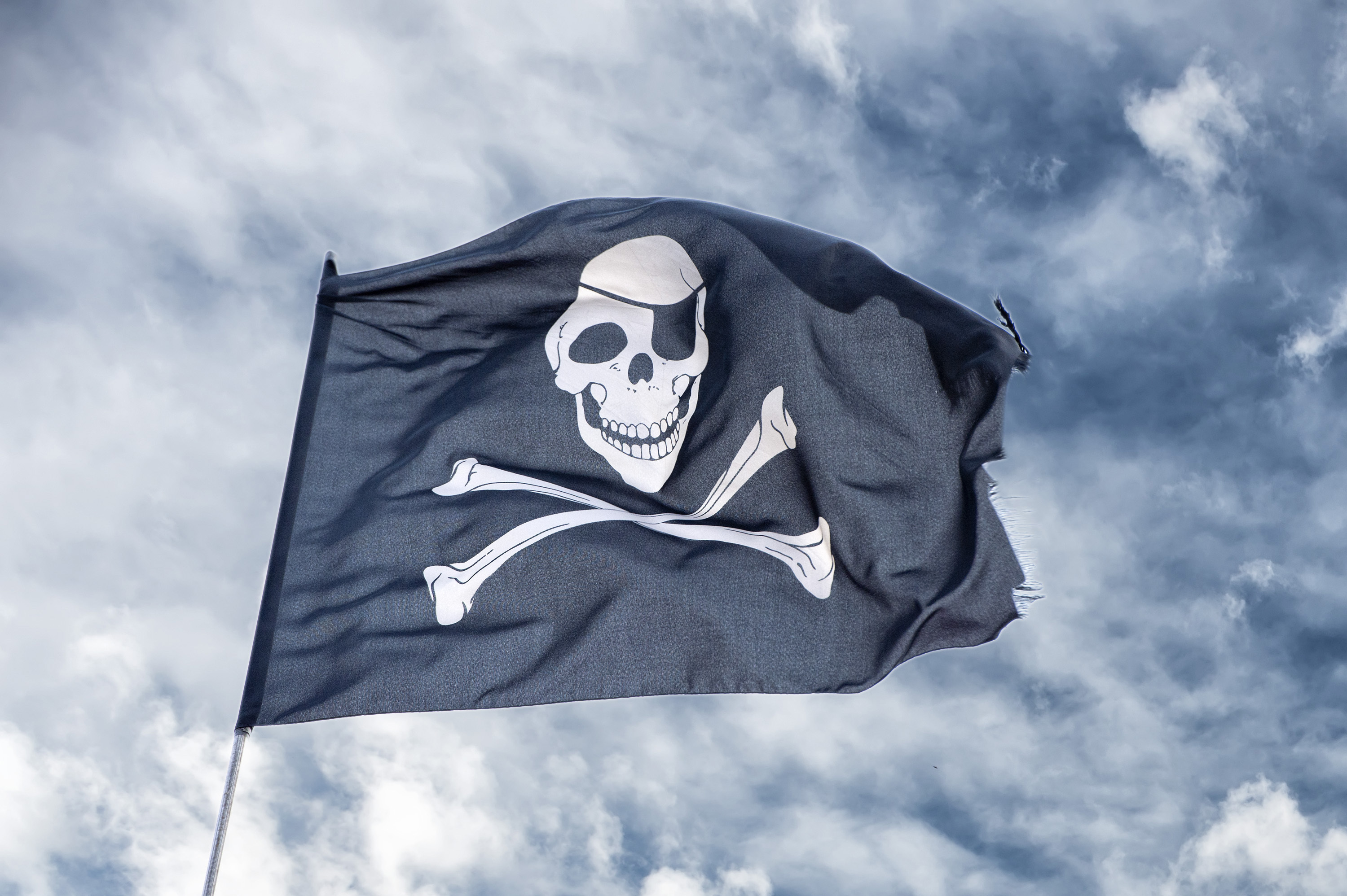 how to stop software piracy