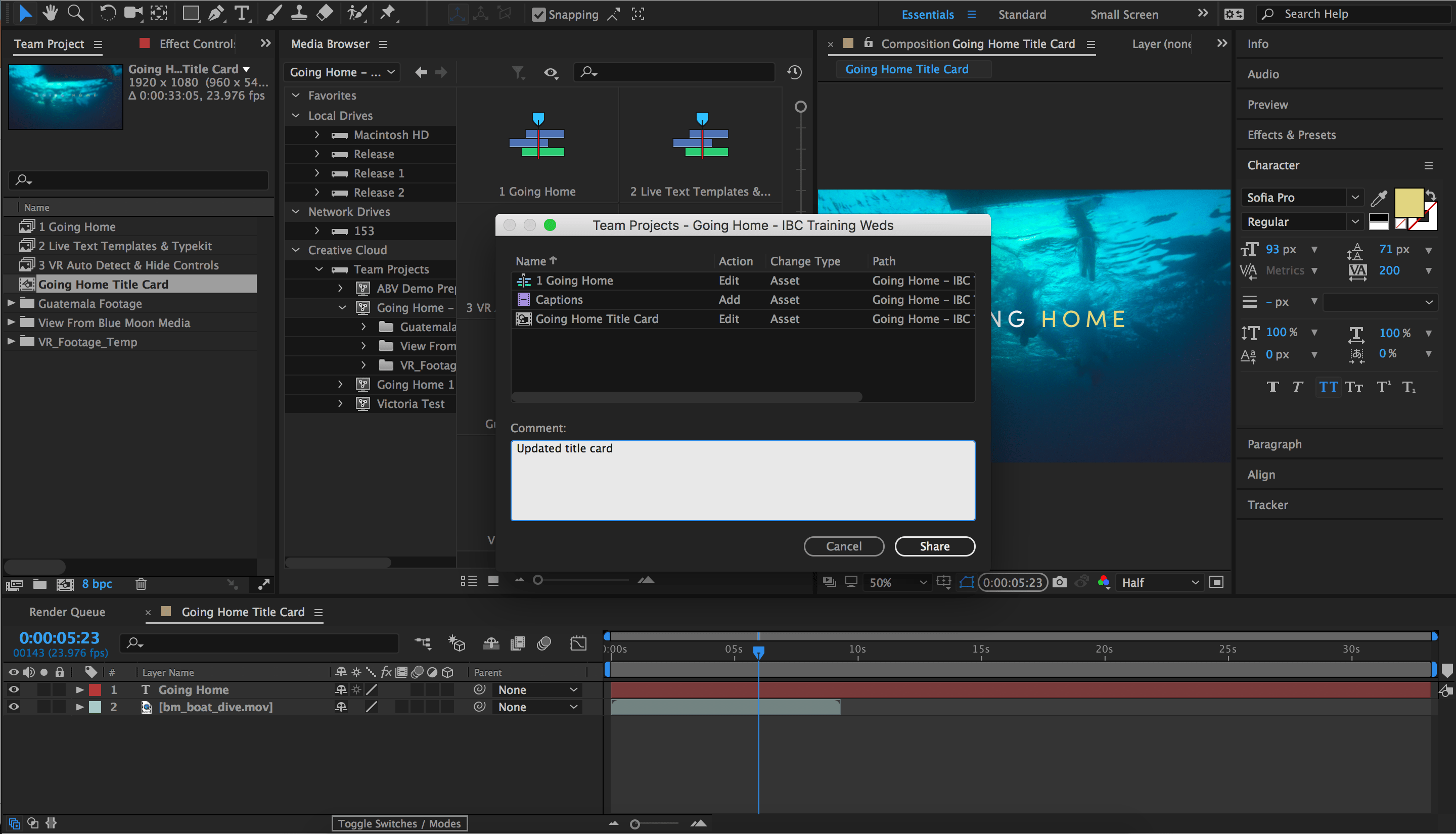 Effects preset. Adobe after Effects cc 2016. Adobe after Effects cc 2021. Project Control Premiere Pro. Adobe after Effects 2021 18.2.0.37\.
