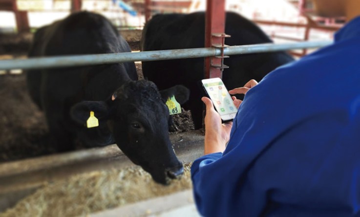 One of Soracom's case studies is Farmnote, "a solution that involves attaching a sensor to heads of cattle and polling data on their activity."
