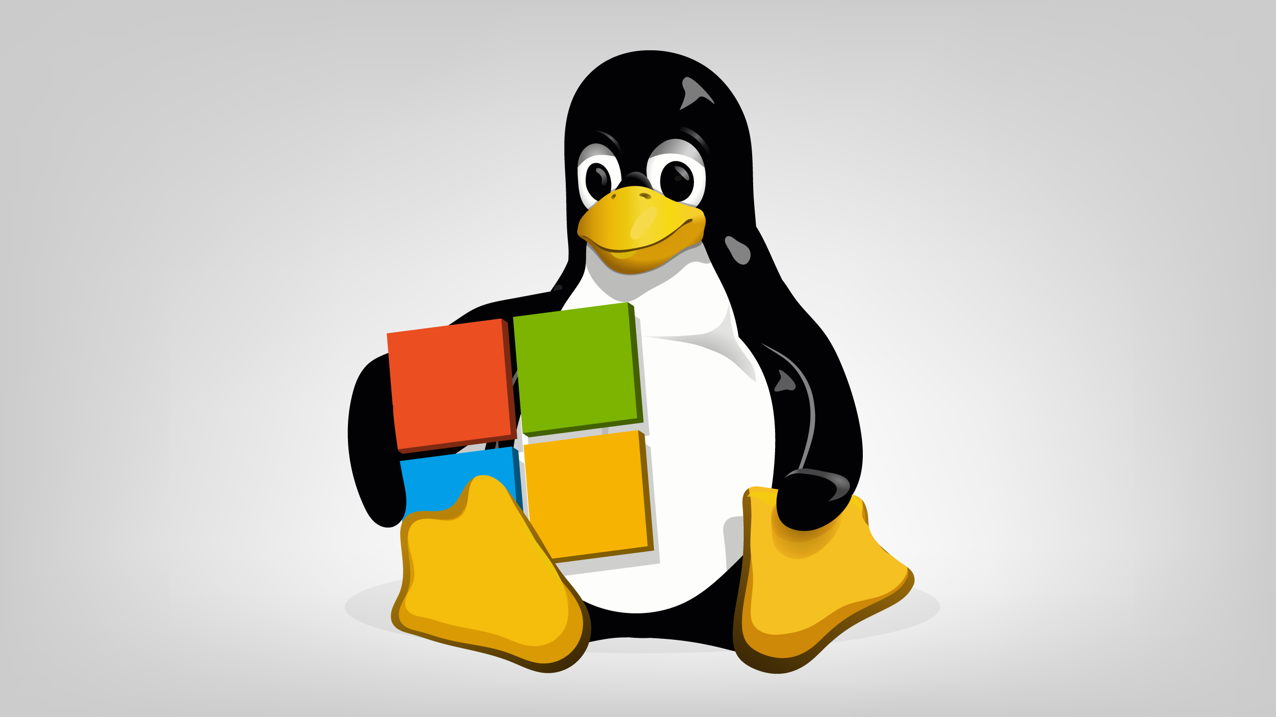 Linux and Windows – How to prioritize a route or interface to access the Internet?