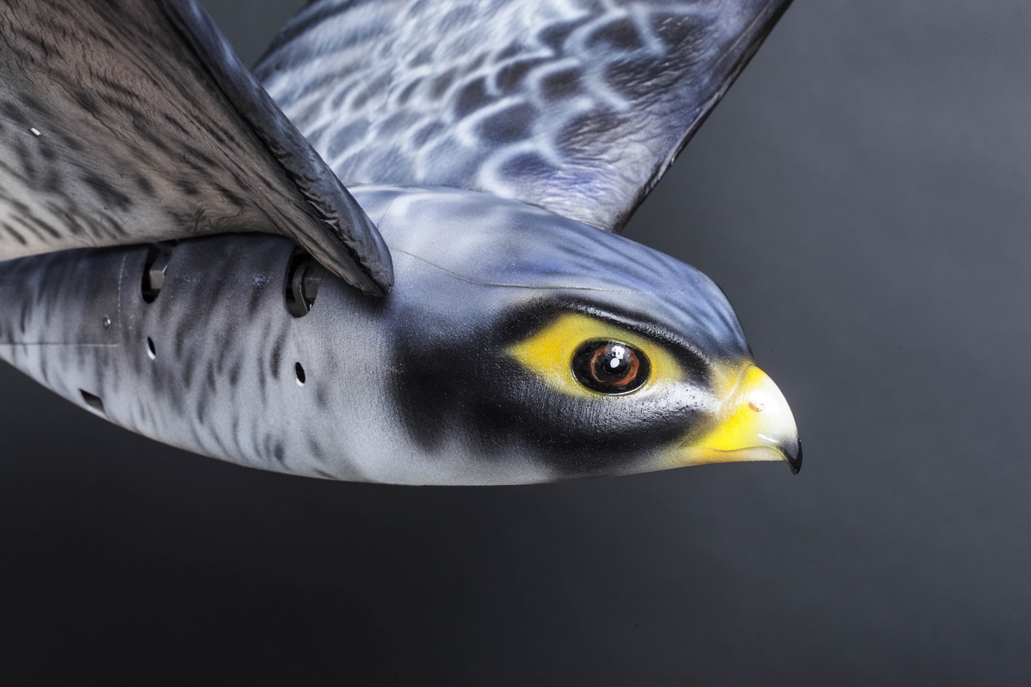 The Air Force Is Developing Bird-Like Microdrones with Flapping