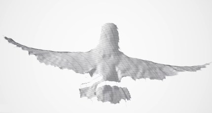 High-speed camera rig captures 3D images of birds' wings in flight |  TechCrunch