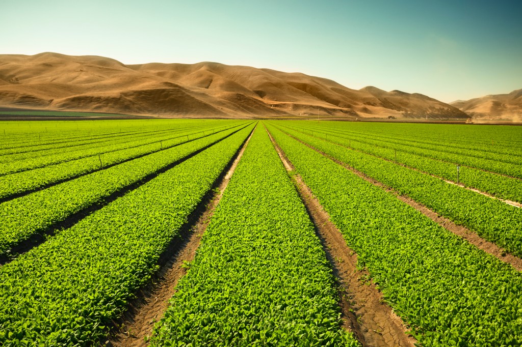 Startups focus on the microbiome as an organic solution to increase crop yields
