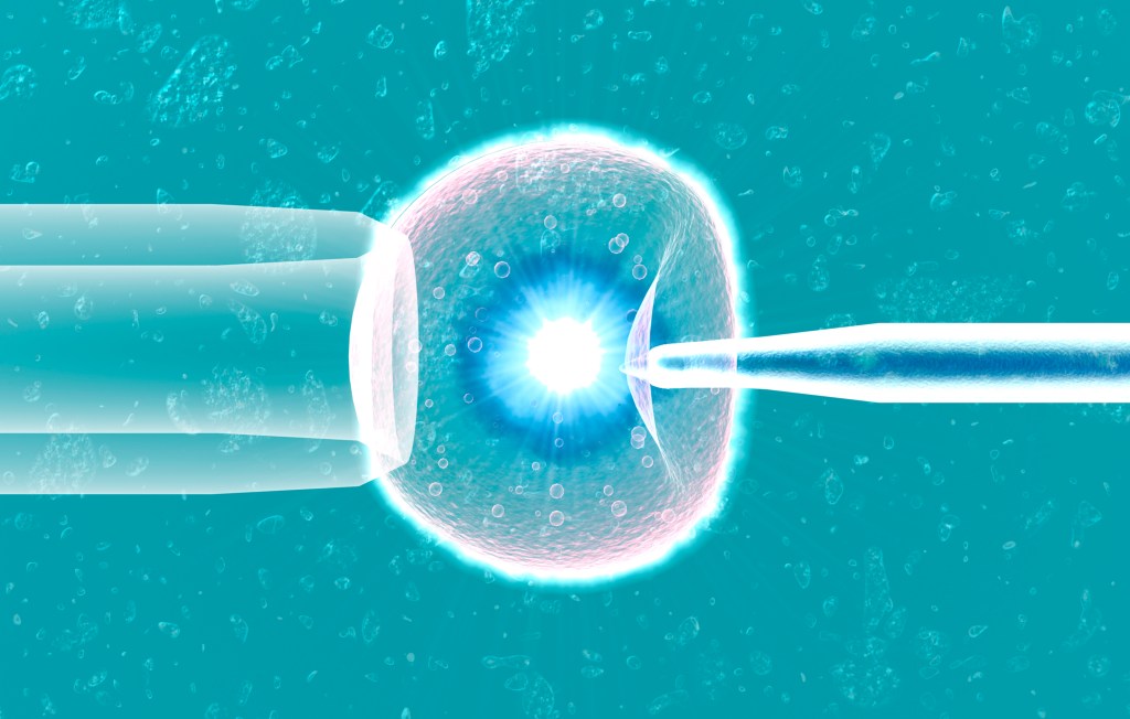 Fertility startup Mojo wants to take the trial and error out of IVF