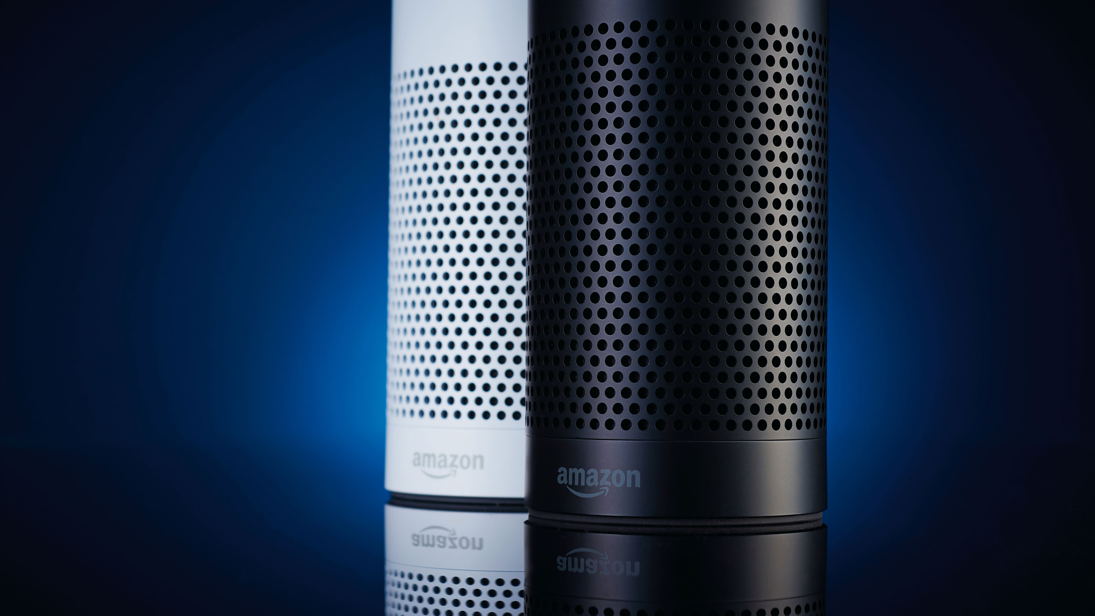 Goodbye privacy, hello 'Alexa':  Echo, the home robot who