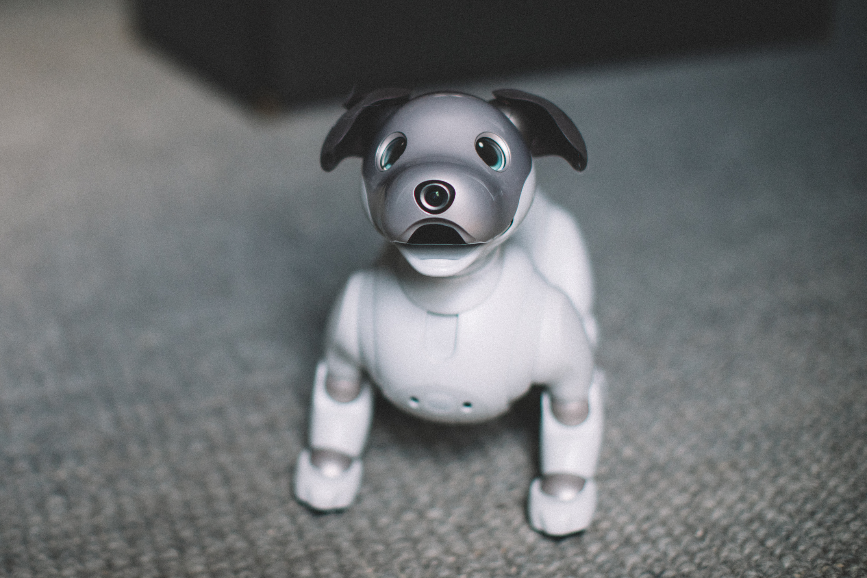 Up close and hands-on with Sony's Aibo | TechCrunch