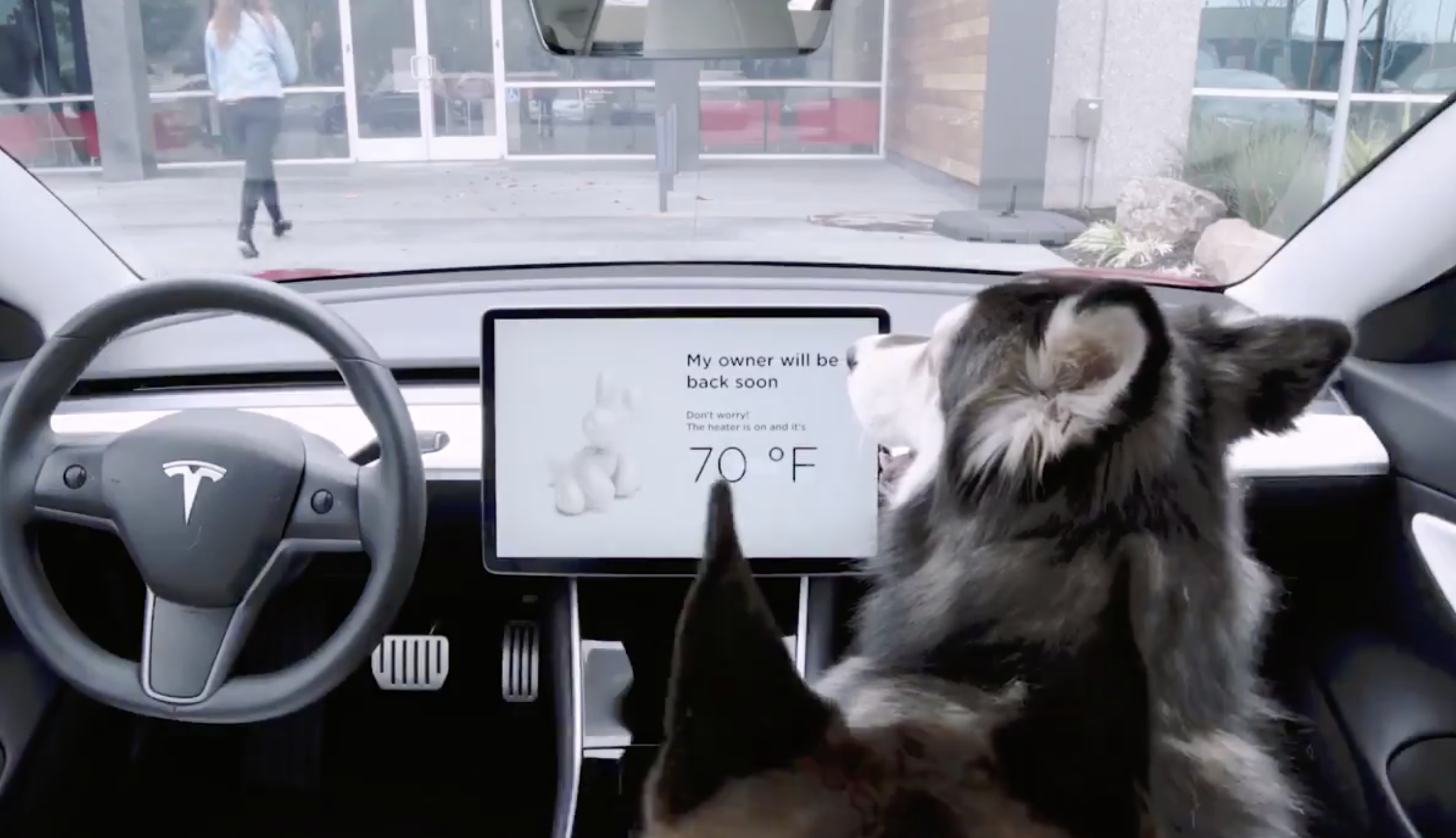 Tesla 'Dog mode' and 'Sentry mode' are now live to guard your car and pets  | TechCrunch