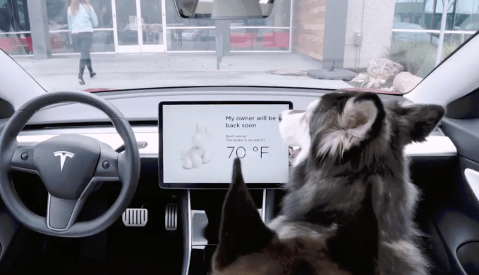Tesla dog-modus