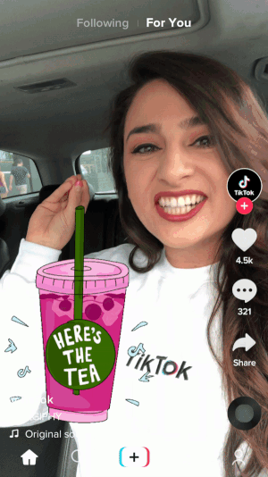 TikTok adds Giphy integration to import Stickers and export TikTok memes to  the rest of the world | TechCrunch