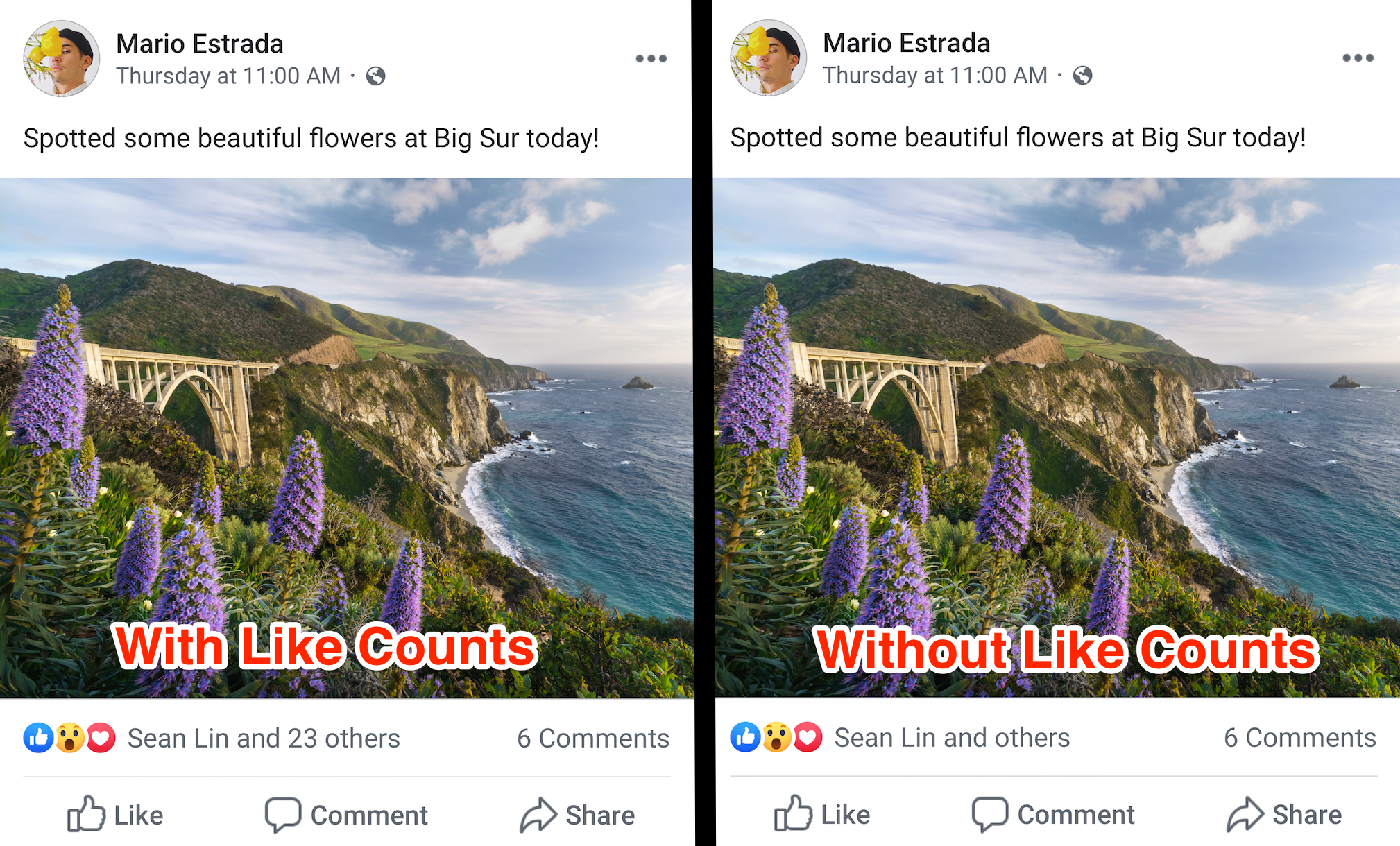 Facebook Hides Likes