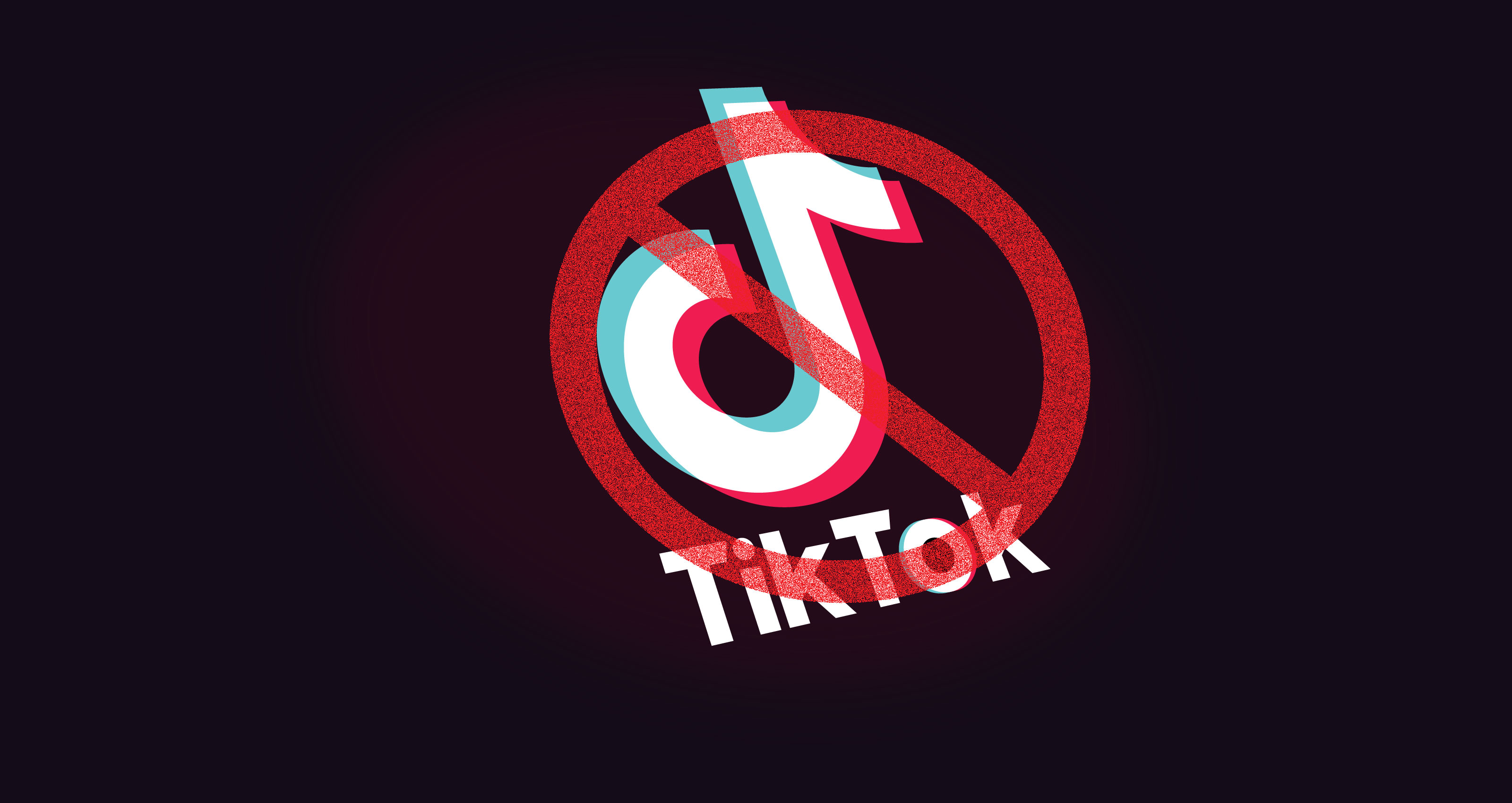Senate bill seeks to ban Chinese app TikTok from government work ...