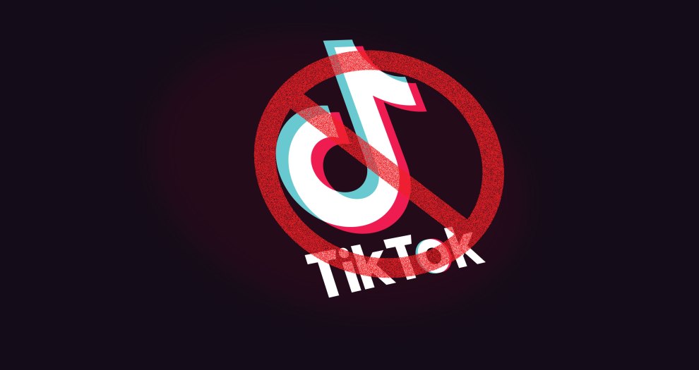 TikTok banned in india
