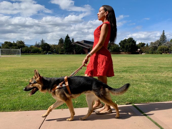 Woman walking with guide dog.
