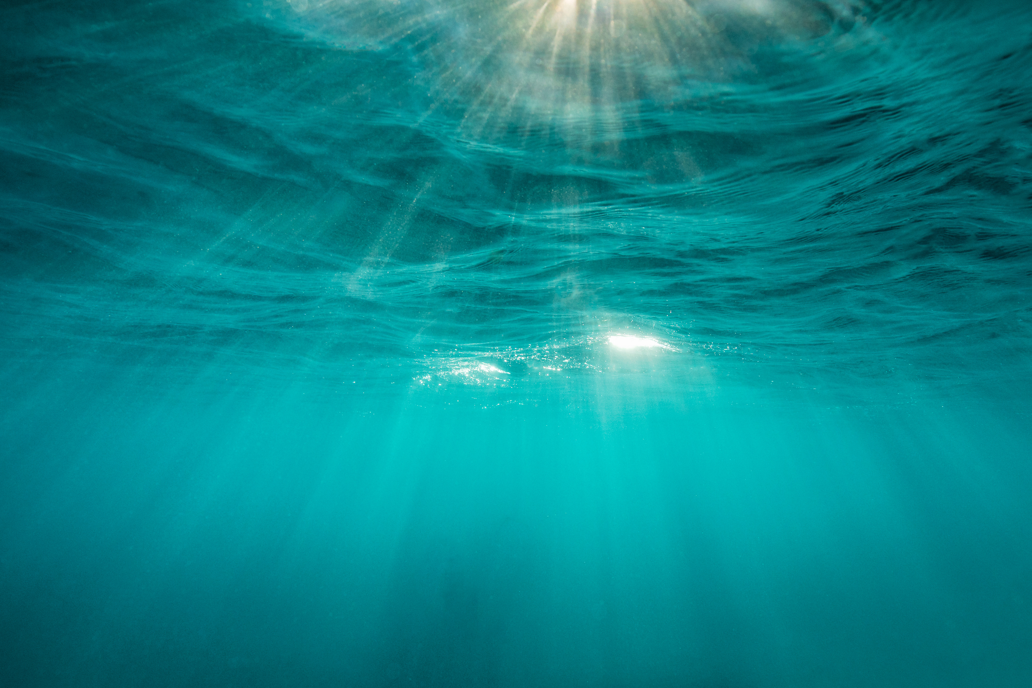 sunlight as seen from beneath the ocean surface