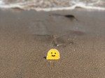 happy face stuck in the sand