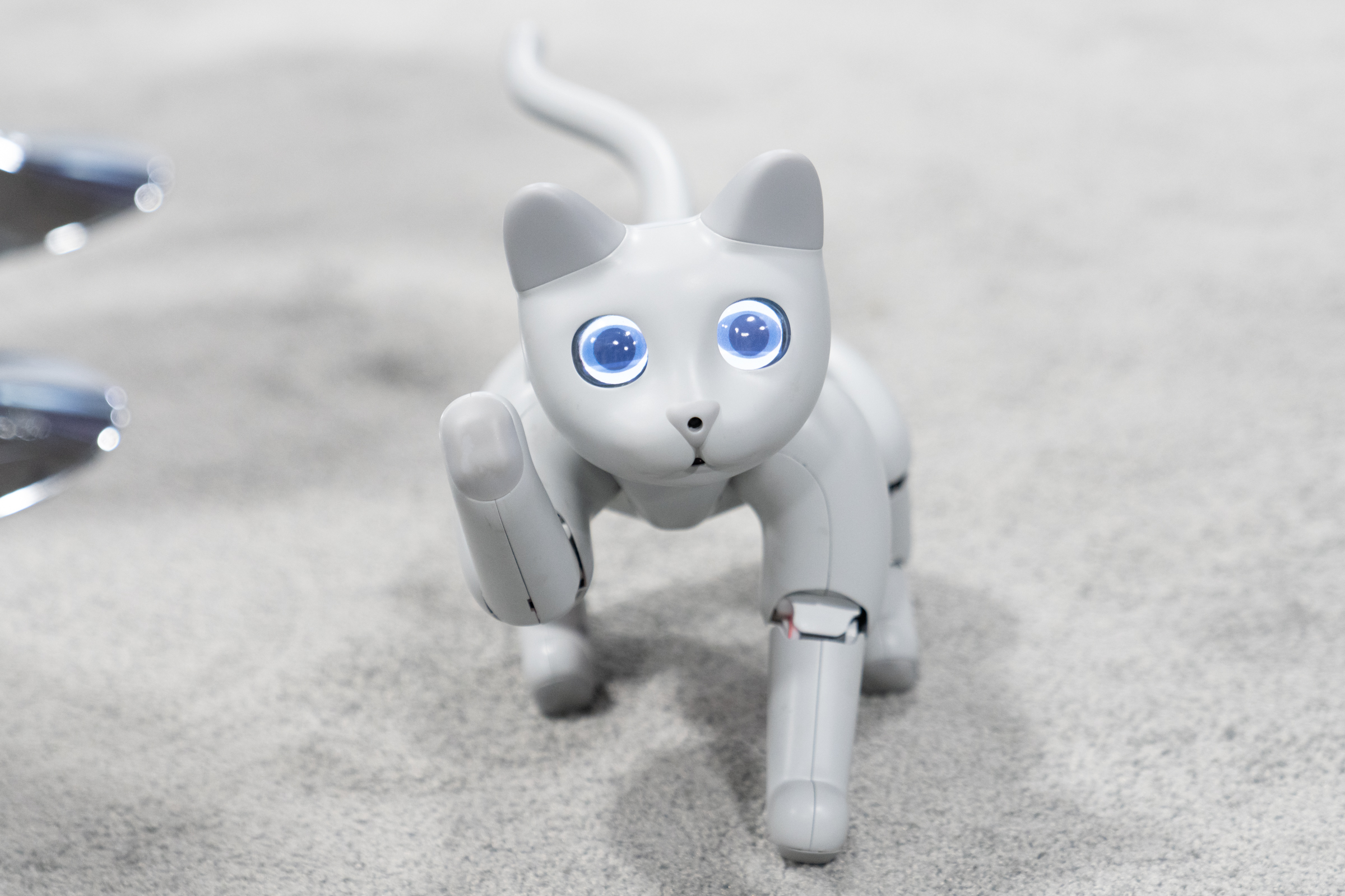 Meet MarsCat, robot cat with lots of love to give room to grow | TechCrunch
