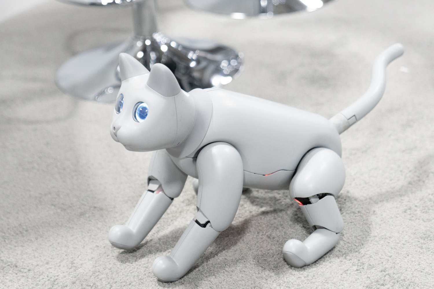 Meet MarsCat, robot cat with lots of love to give room to grow | TechCrunch