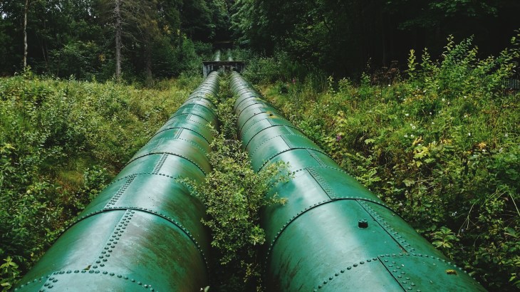 Surface Level Of Pipeline Along Plants