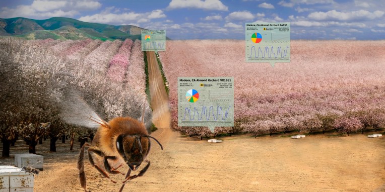 BeeHero smartens up hives to provide 'pollination as a service' with $4M seed round thumbnail
