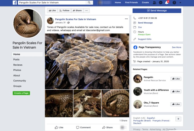 slide2 pangolins - Facebook users are buying and selling pangolin parts, even though it’s illegal