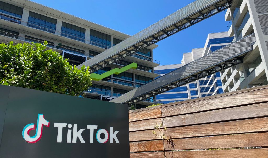 Just what would an enterprise company like Microsoft or Oracle do with TikTok? | TechCrunch