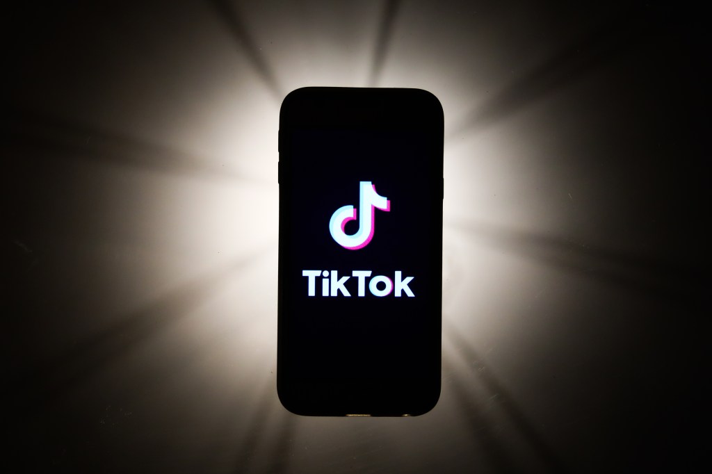 TikTok app on mobile phone