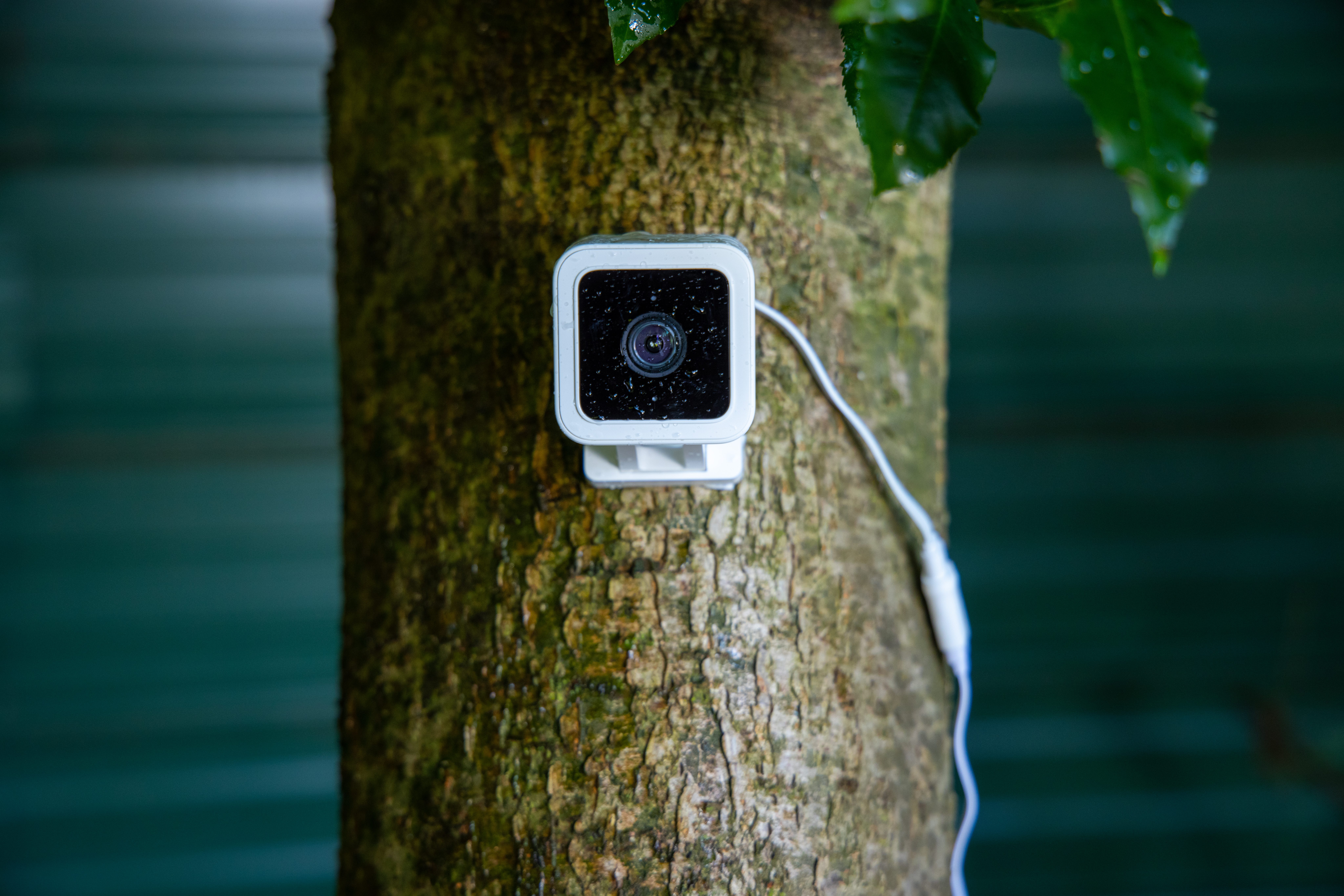 wyze outdoor security cameras