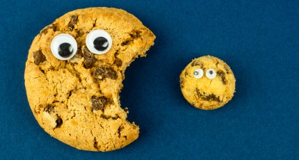 GitHub says goodbye to cookie banners | TechCrunch