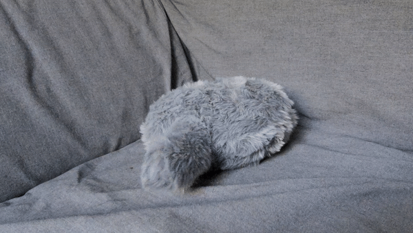 ezgif 1 b92a08625a88 - Una seria recensione di un cuscino-gatto robotico