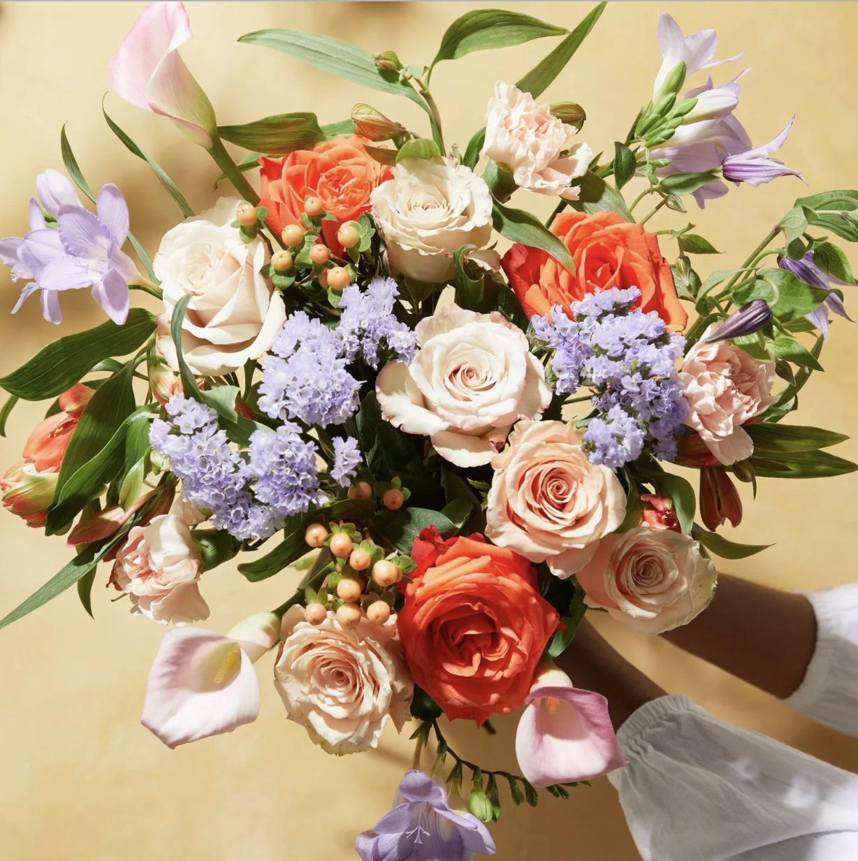 UK's Bloom & Wild raises $102M to seed its flower delivery service across  Europe | TechCrunch
