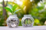 Coin tree Glass Jar Plant growing from coins outside the glass jar on blurred green natural background money saving and investment financial concept (Coin tree Glass Jar Plant growing from coins outside the glass jar on blurred green natural backgroun