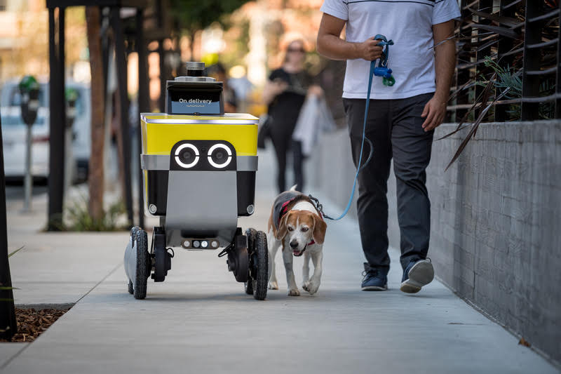 Serve Robotics robot on sidewalk next to dog and human