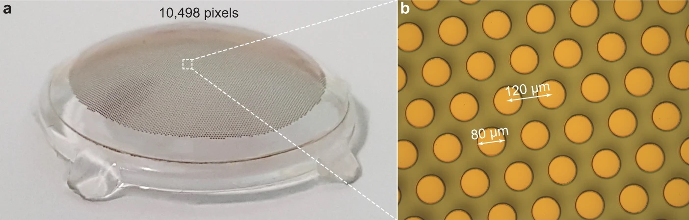 Imagen que muestra un primer plano de los puntos fotovoltaicos en el implante de retina, etiquetados con unos 80 micrones de diámetro cada uno.
