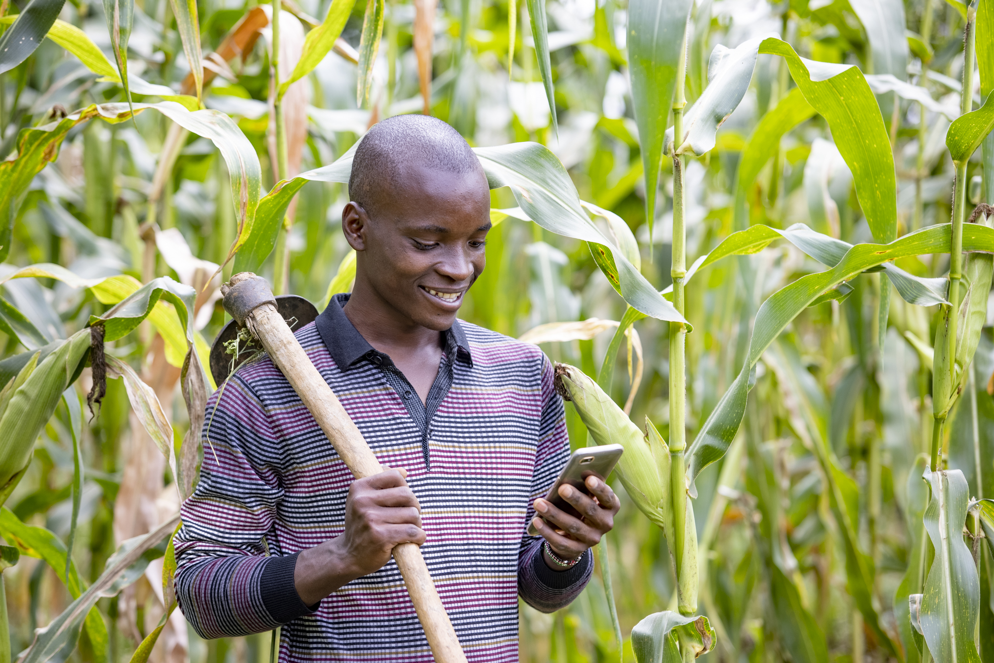 Successful Implementation of Agtech for Smallholder Farmers