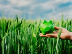 Image of a hand holding green piggybank in a green field.