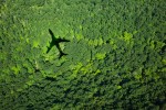 Shadow of airplane over forest