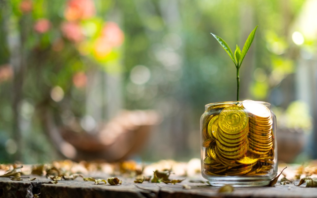 Image of a plant growing from a jar full of coins against a blurred background.