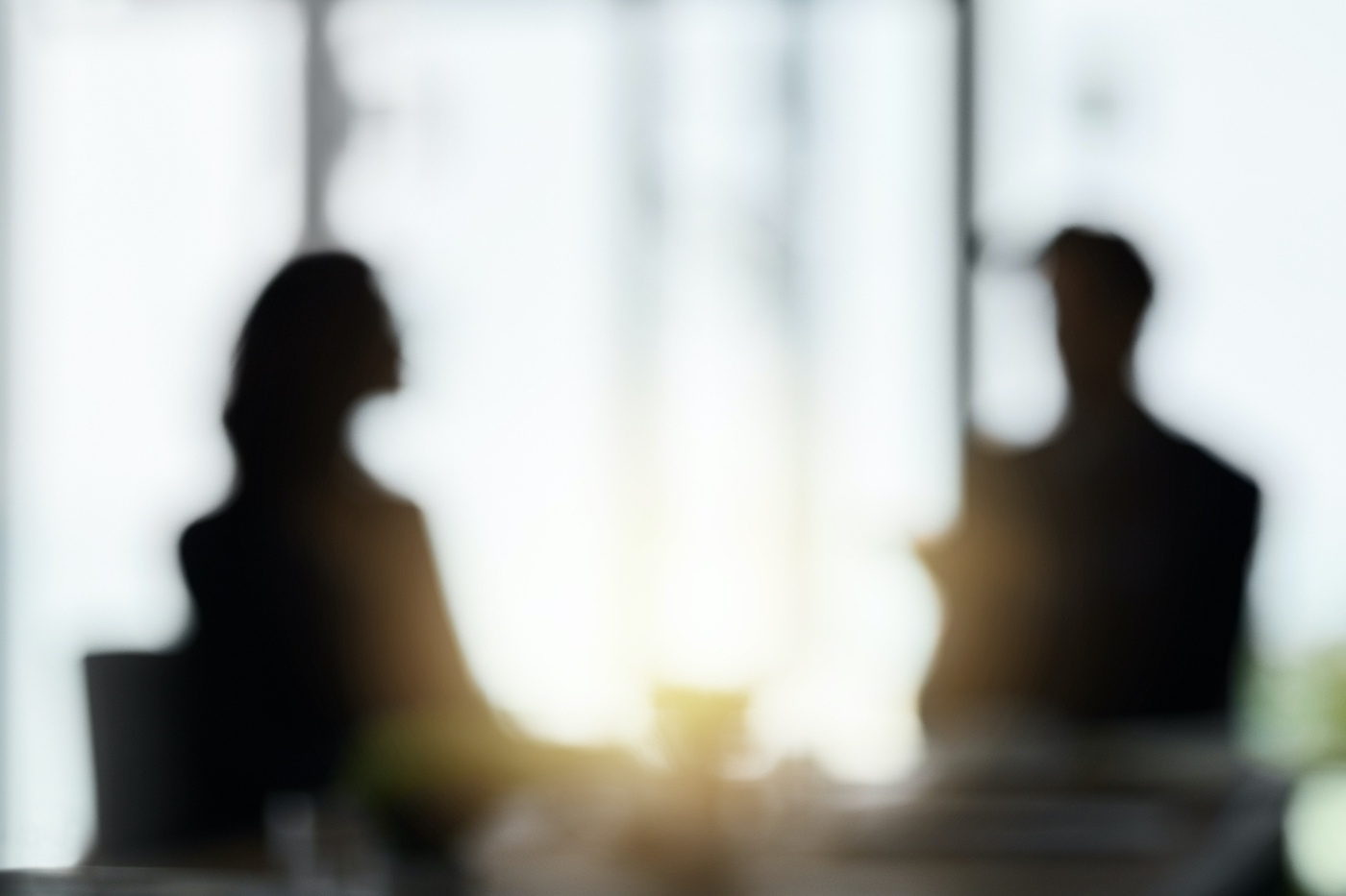 Defocussed shot of two silhouetted businesspeople having a meeting in the boardroom