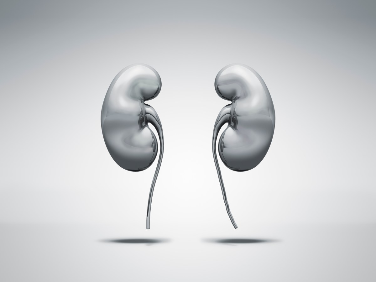 Strive Health grabs $166M to provide end-to-end kidney care
